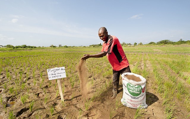 Too good to be true? A model for reaching poor farmers and reducing subsidy costs in Ghana