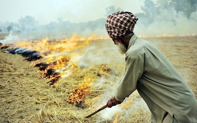 The link between crop burning and respiratory illness is a health and economic timebomb