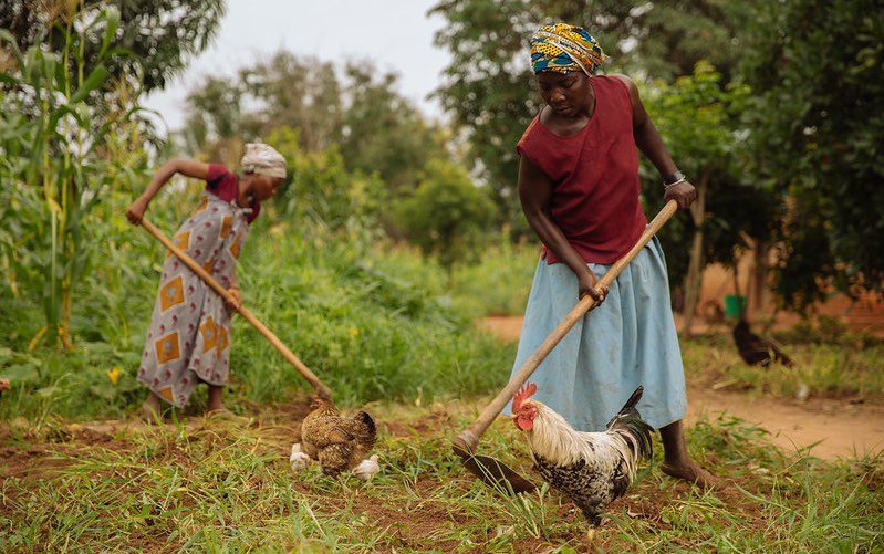 women_farmers_tanzania