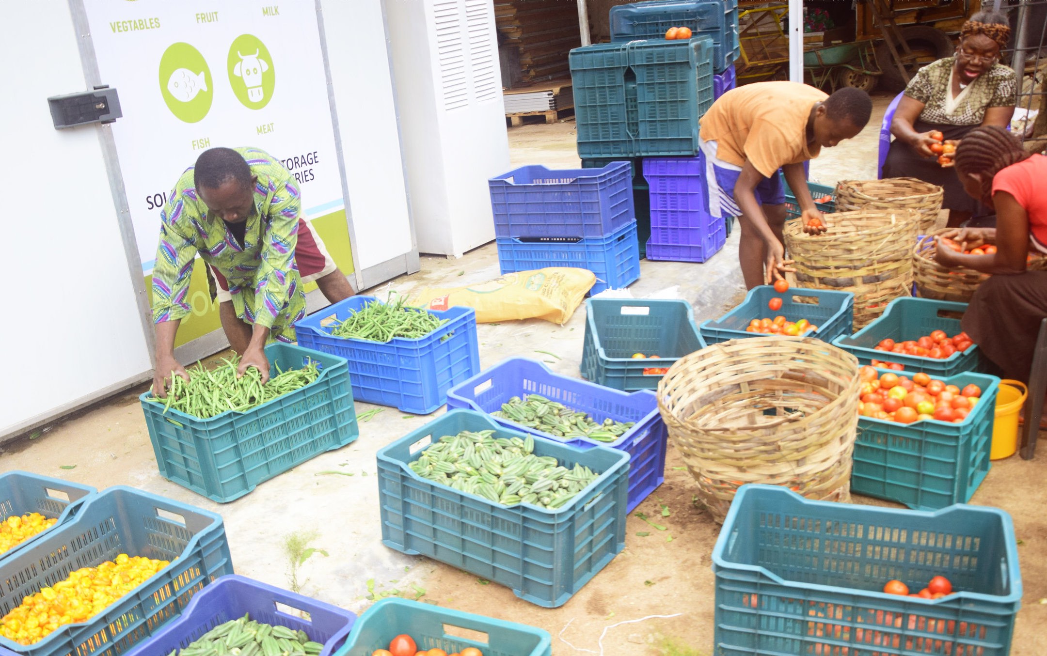 How small businesses are driving growth across African agriculture