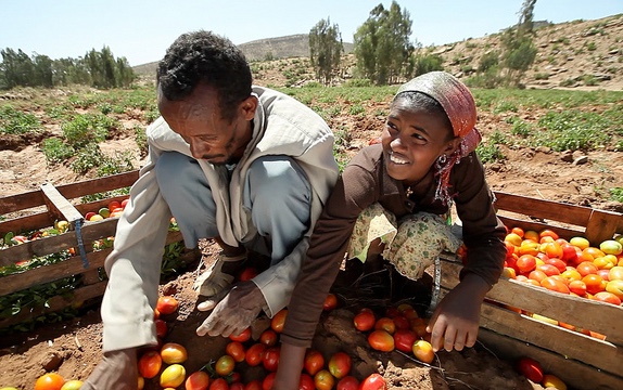 Inside Ethiopia’s agricultural success story