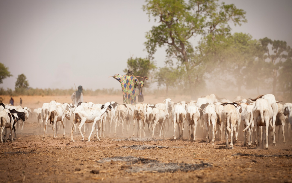 World Soil Day: Overcoming farmers’ resistance to climate-smart agriculture in Africa
