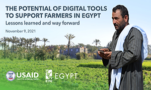 The potential of digital tools to support farmers in Egypt: Lessons learned and way forward