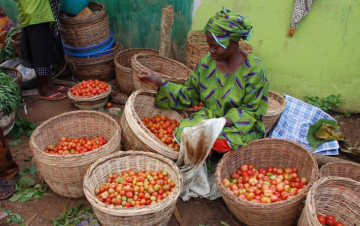 Transforming Nigeria’s agrifood system for healthier diets and higher farm incomes