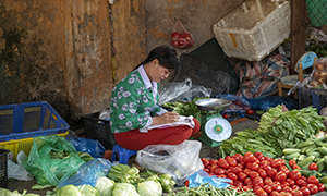 Sustainable Food System in Southeast Asia under and beyond COVID-19: Policy Evidence and Call for Action