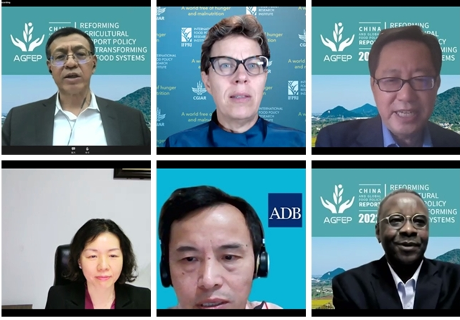 2022 China and Global Food Policy Report: Reforming agricultural support policies to promote agrifood systems transformation