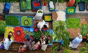Rethinking Research and Policy Analysis for Inclusive and Sustainable Food Markets and Value Chains