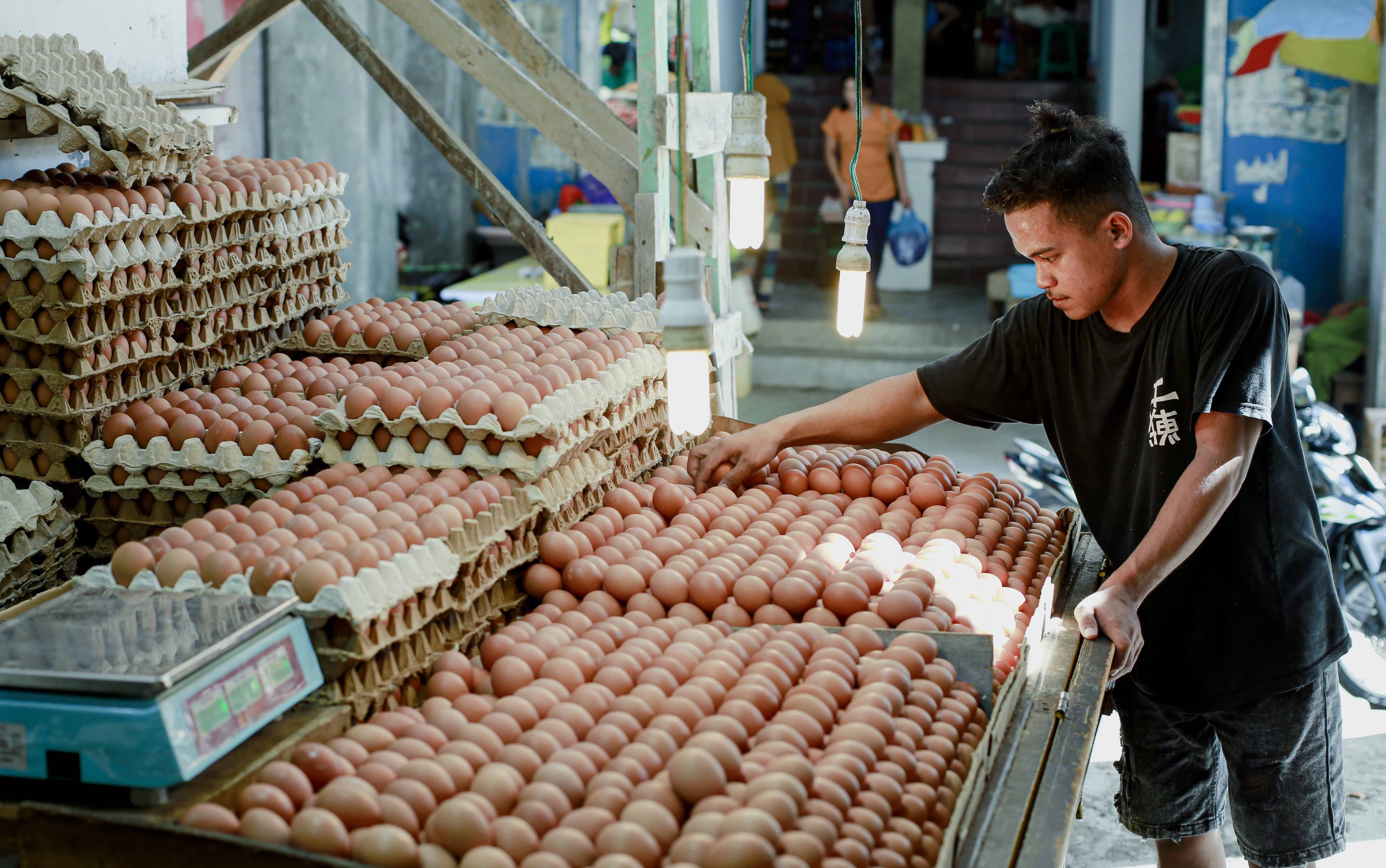 Man arranges stacks of eggs