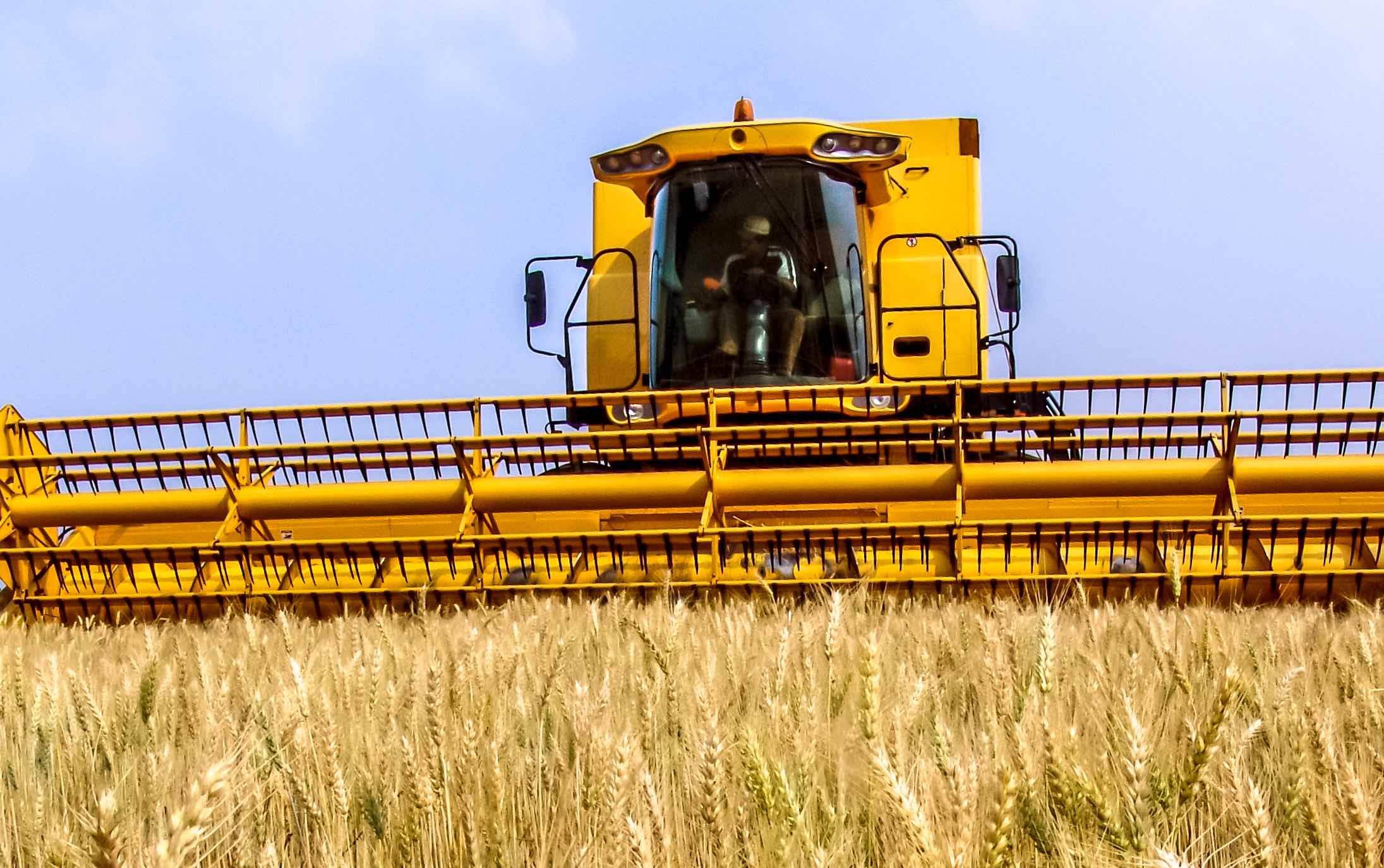 A wheat harvester on a field