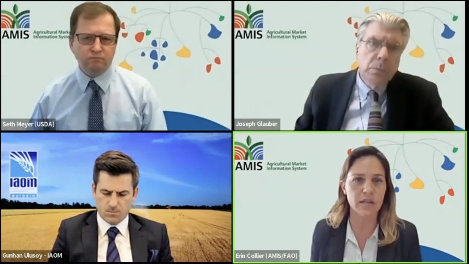 IFPRI-AMIS policy seminar – Ukraine One Year Later: The impact of the war on agricultural markets and food security