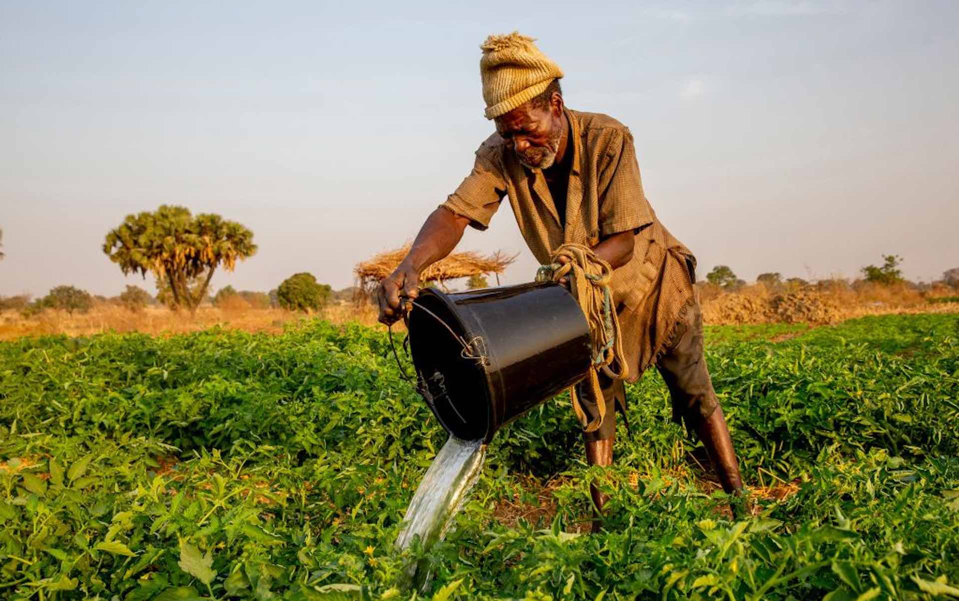 Feeding Africa: how small-scale irrigation can help farmers to change the game