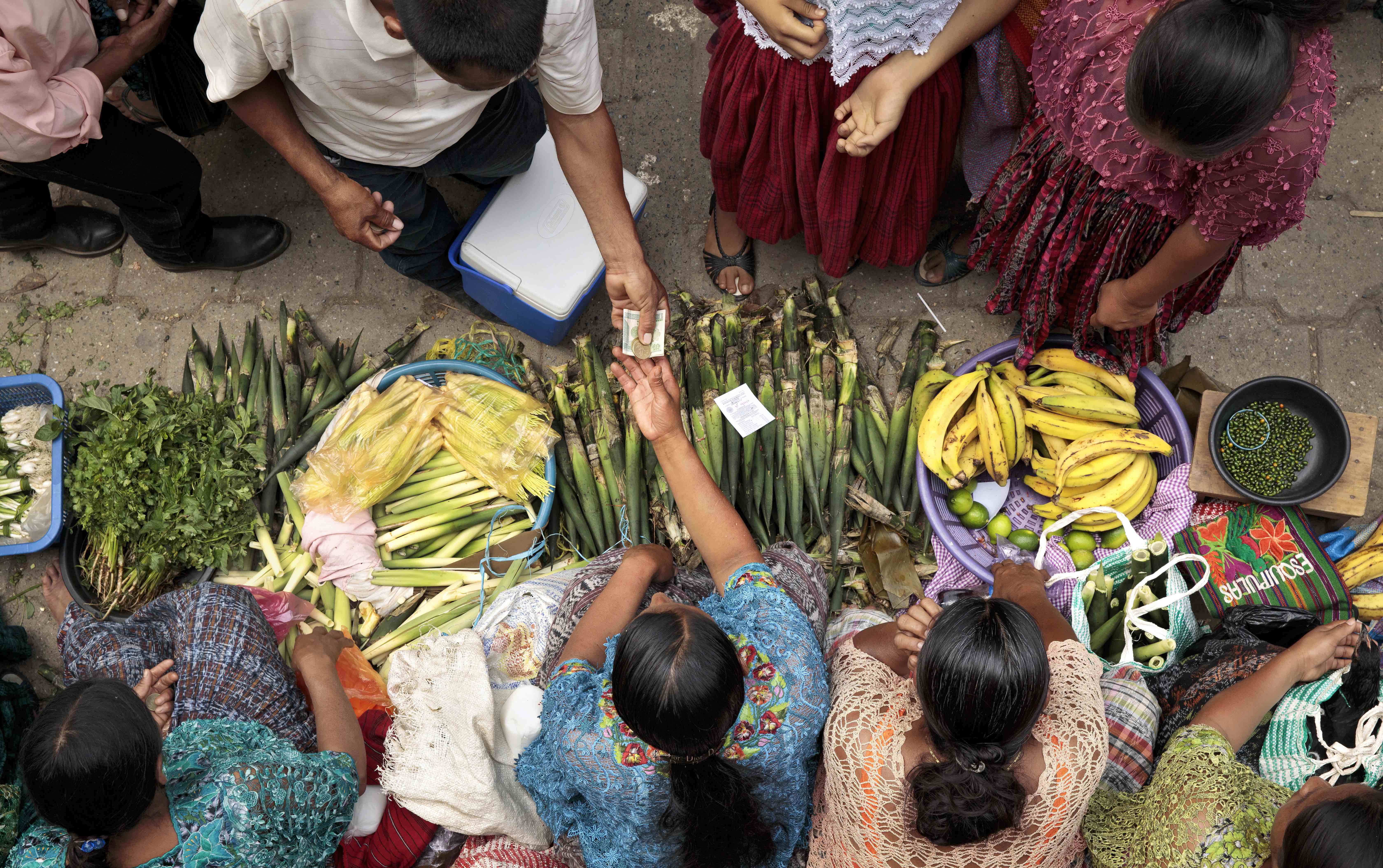 Lanzamiento del Informe Global de Políticas Alimentarias 2023 en América Latina: Políticas para construir resiliencia ante los shocks
