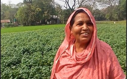 Sowing the seeds of resilience among smallholder farmers in Bangladesh