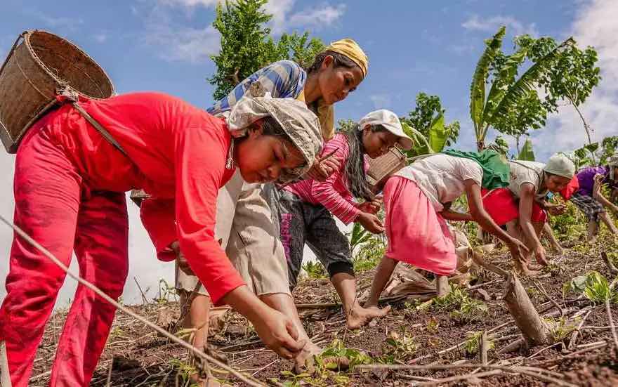 Integrating gender perspectives to prevent or reduce climate crisis impacts