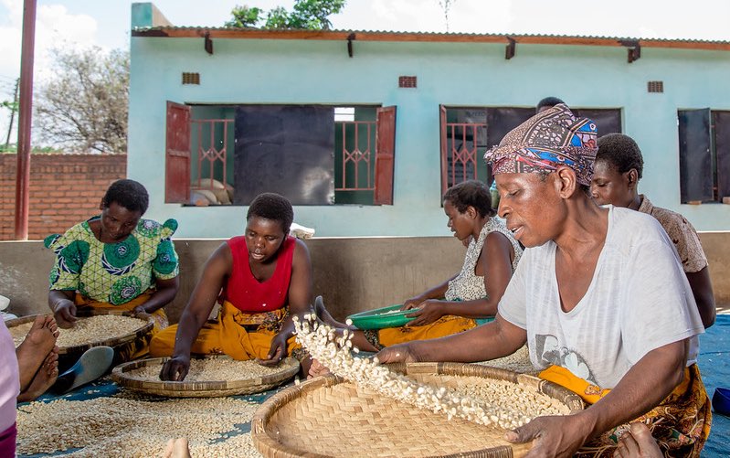 Act now to address Malawi’s looming food crisis